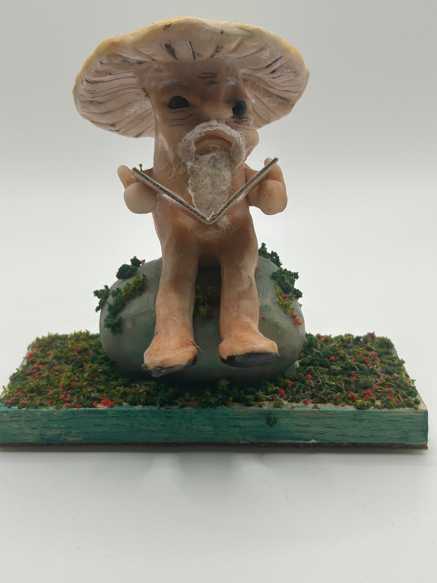 Mushroom news