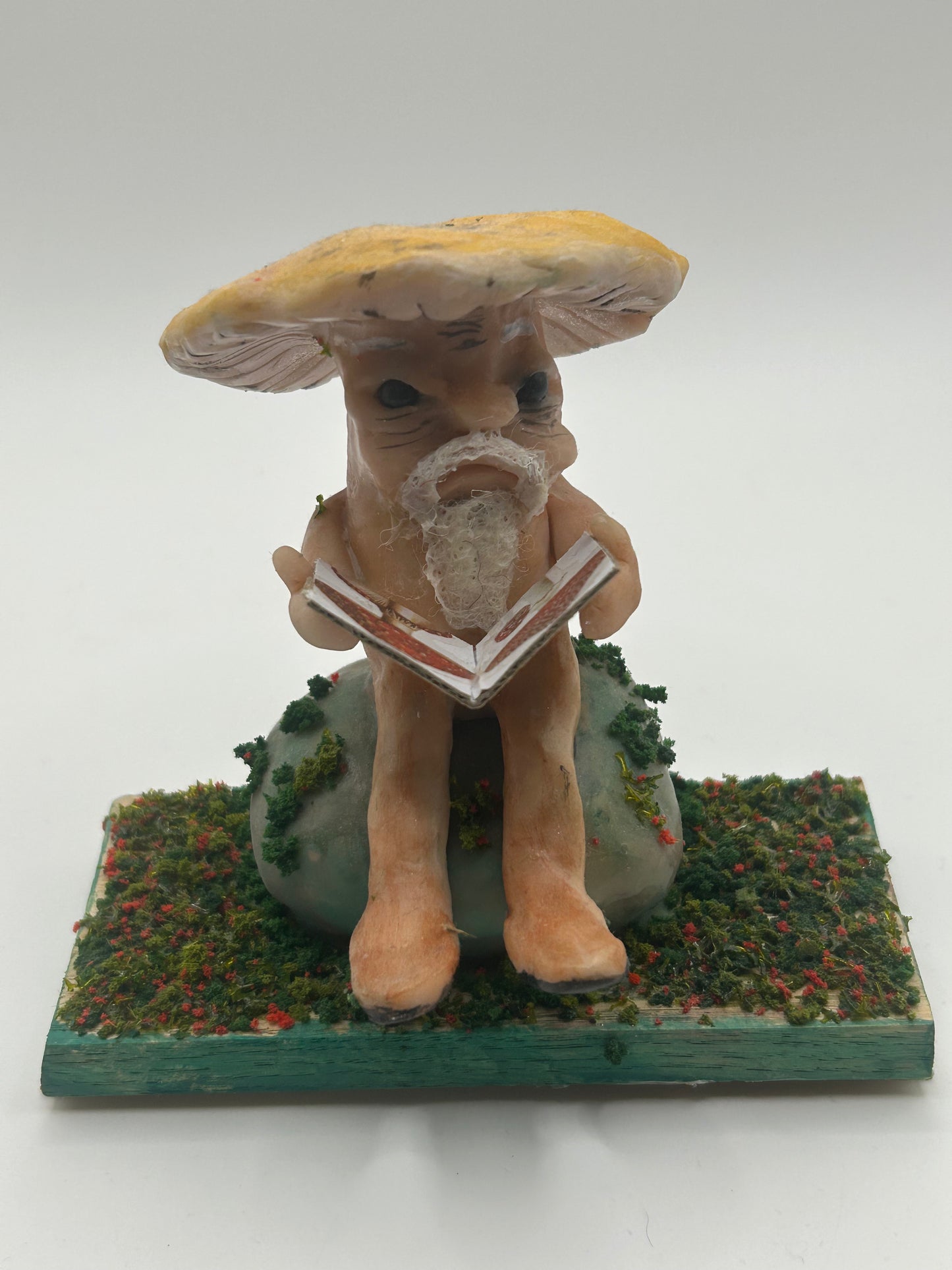 Mushroom news