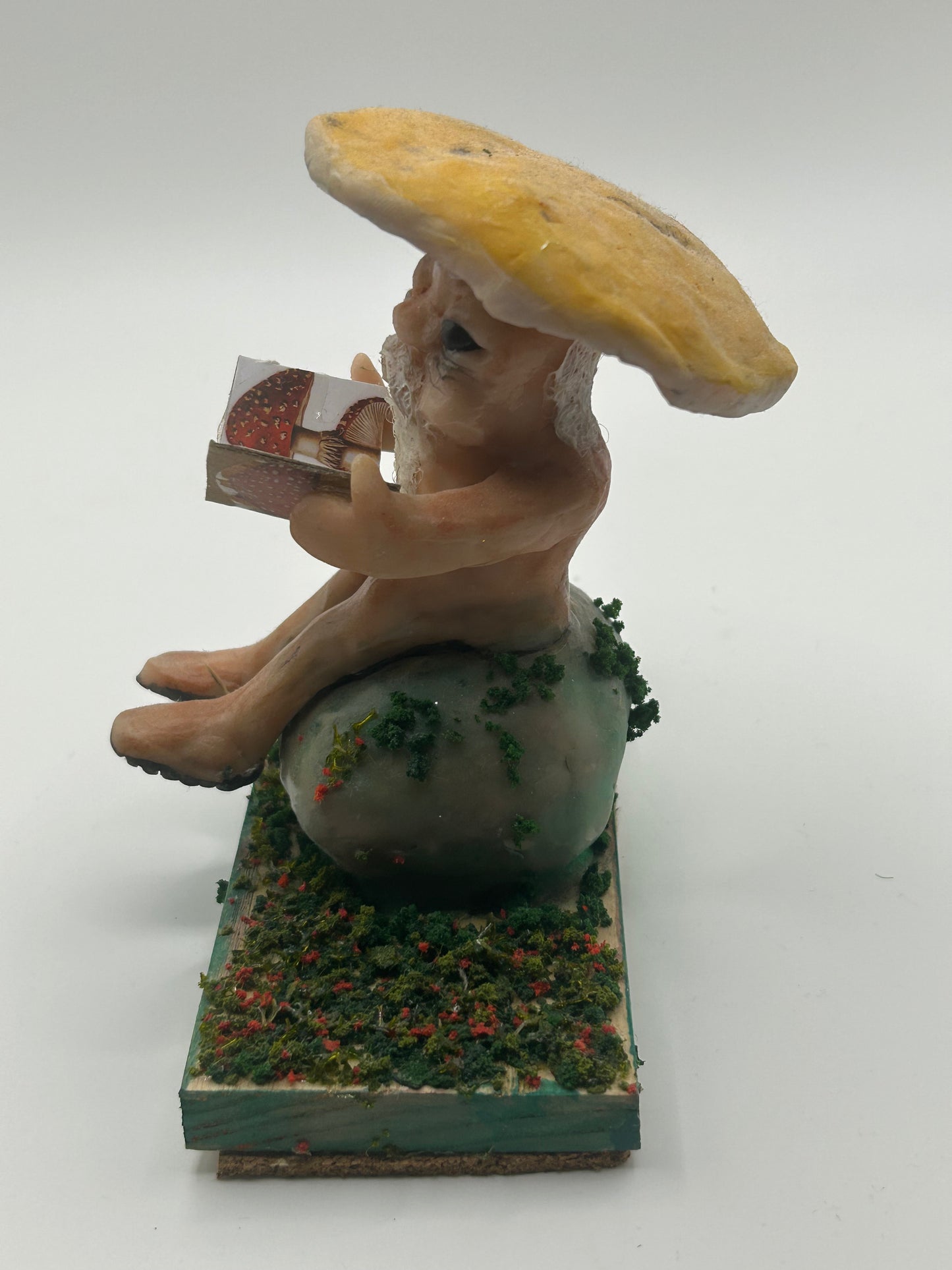 Mushroom news
