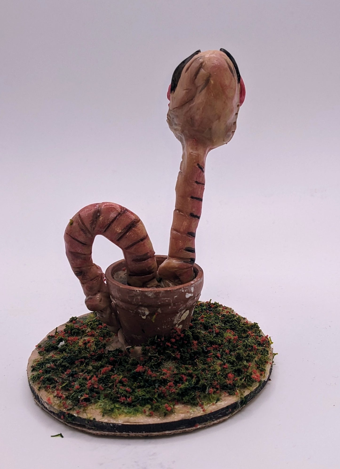 Little Worm