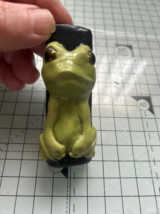 Frog Lighter case