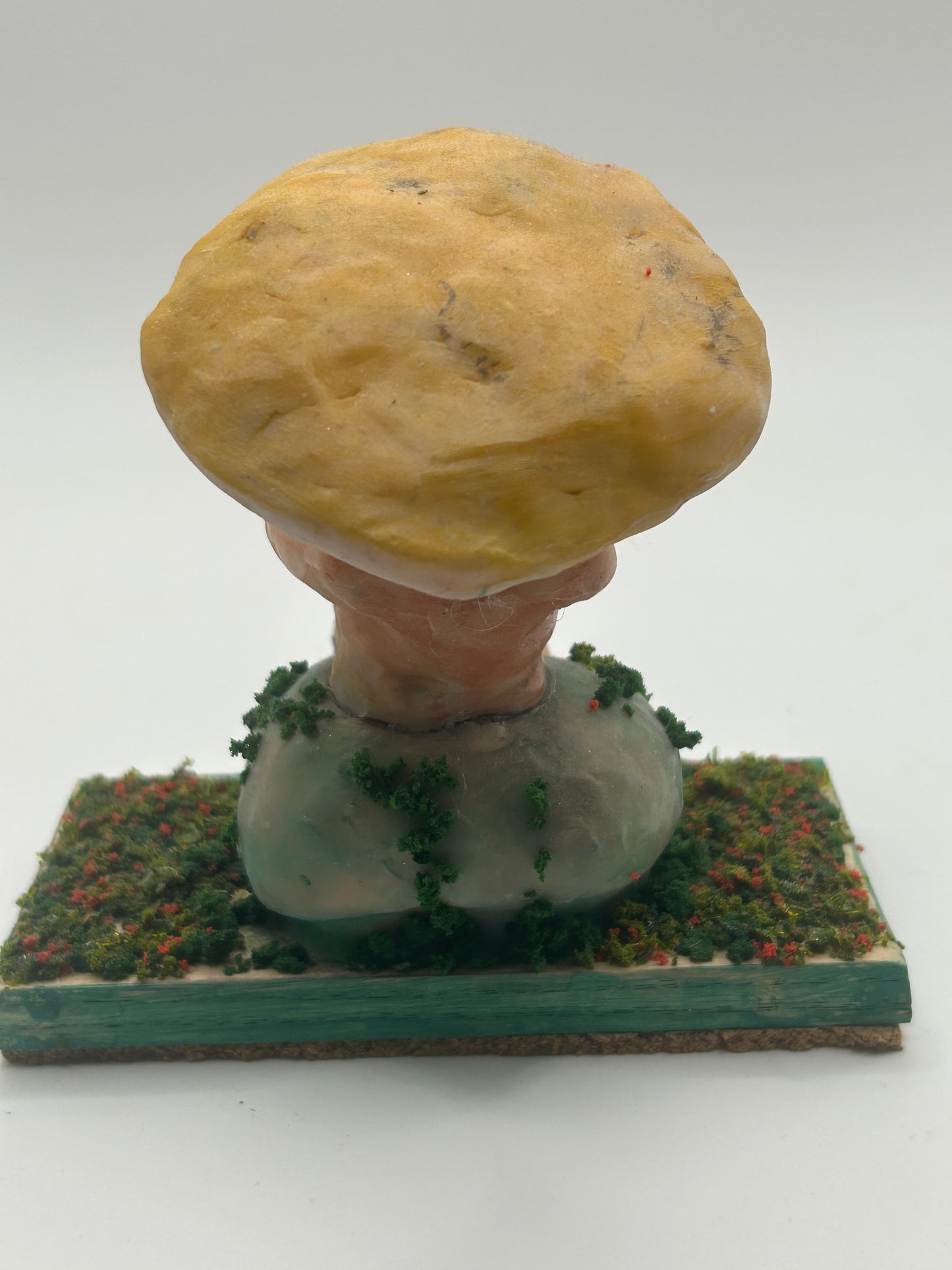 Mushroom news